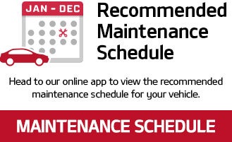 Recommended Maintenance Schedule